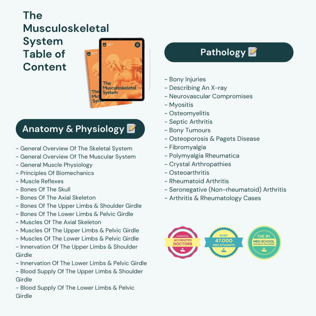 Medicine Study Buddy - COMPLETE BUNDLE