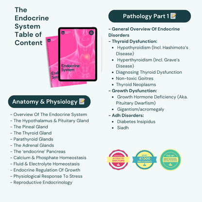 Endocrine System