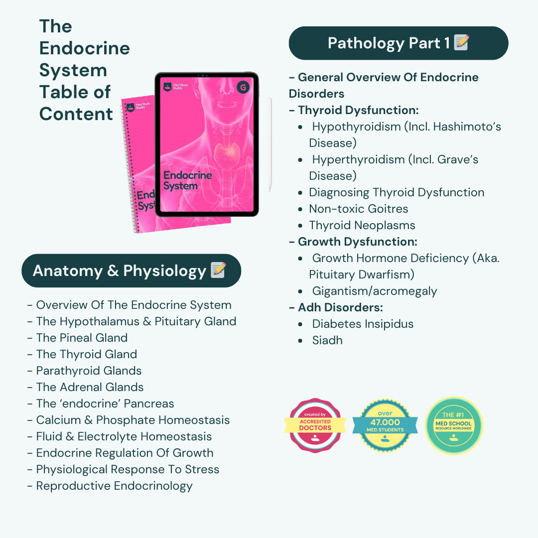 Medicine Study Buddy - COMPLETE BUNDLE