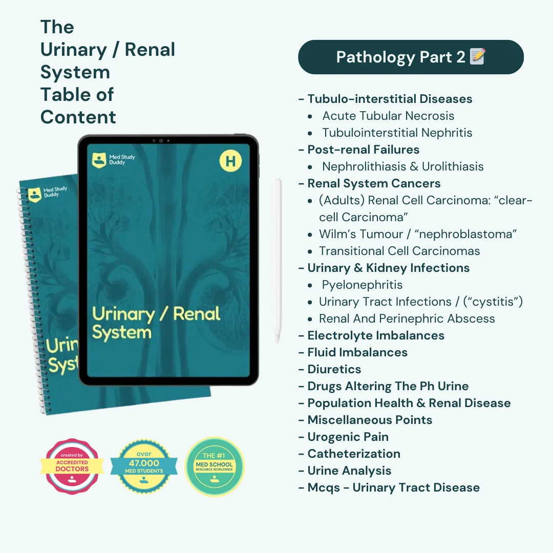 Medicine Study Buddy - COMPLETE BUNDLE