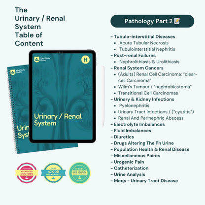 Medicine Study Buddy - COMPLETE BUNDLE