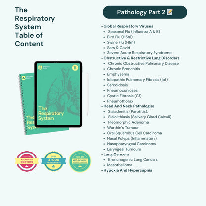 The Respiratory System