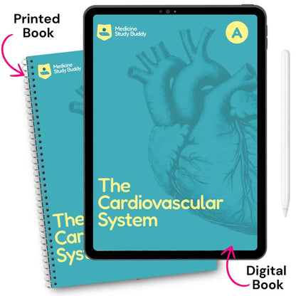 The Cardiovascular System