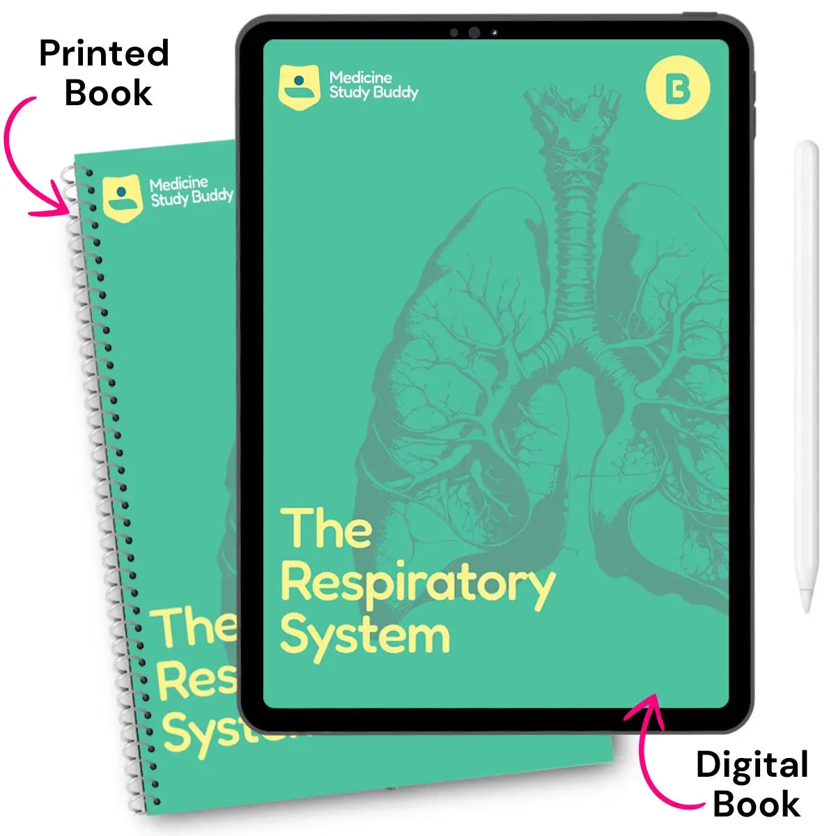 The Respiratory System