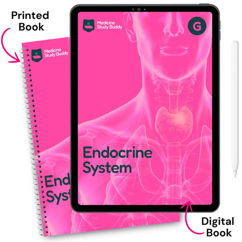 Endocrine System