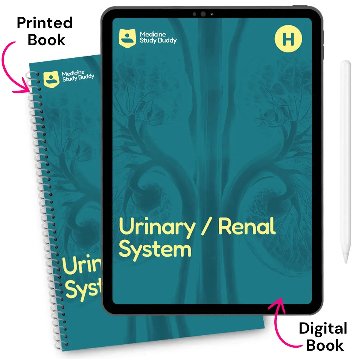 Urinary / Renal System